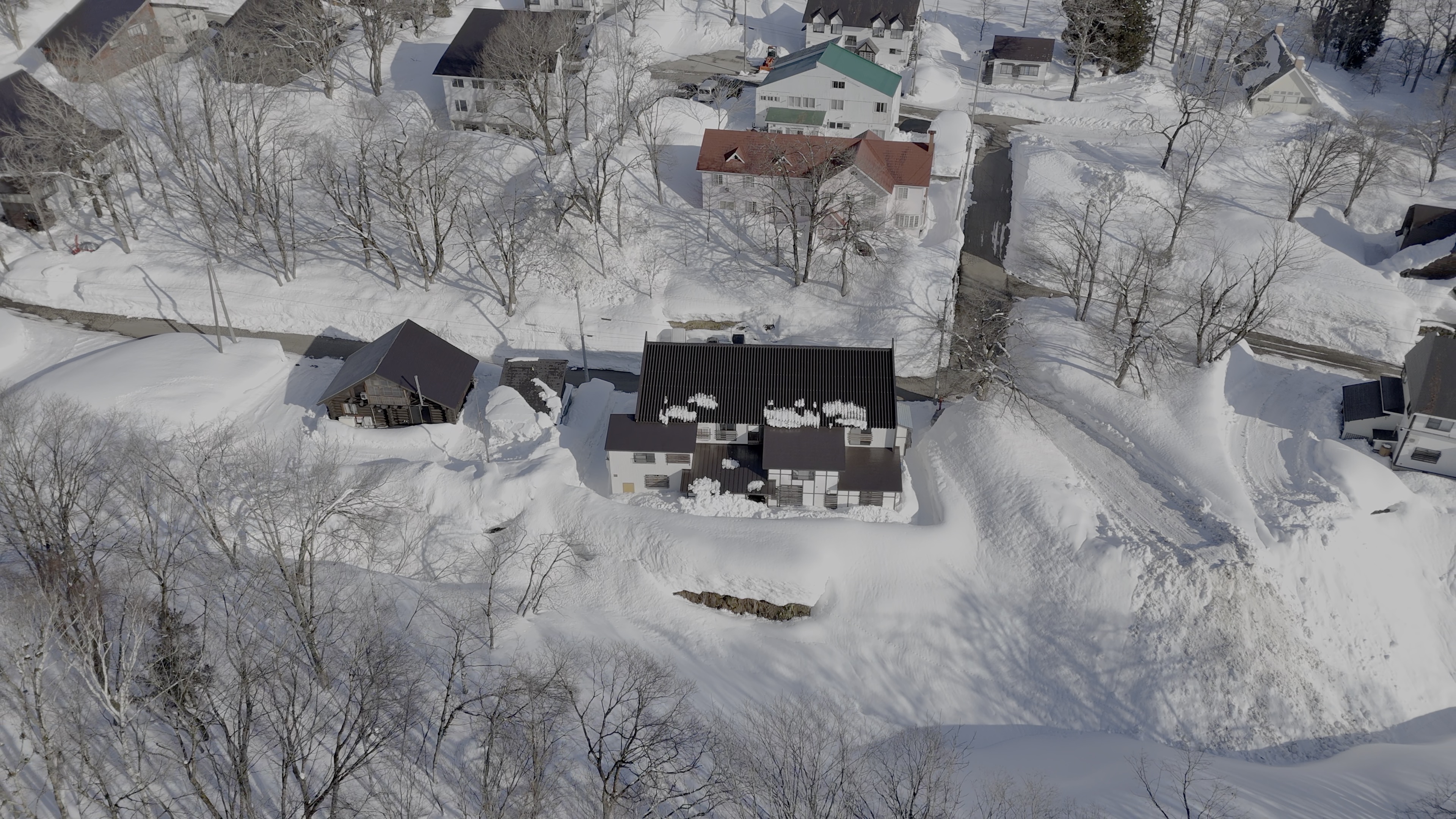 Aerial view of Melo Haus and neighborhood