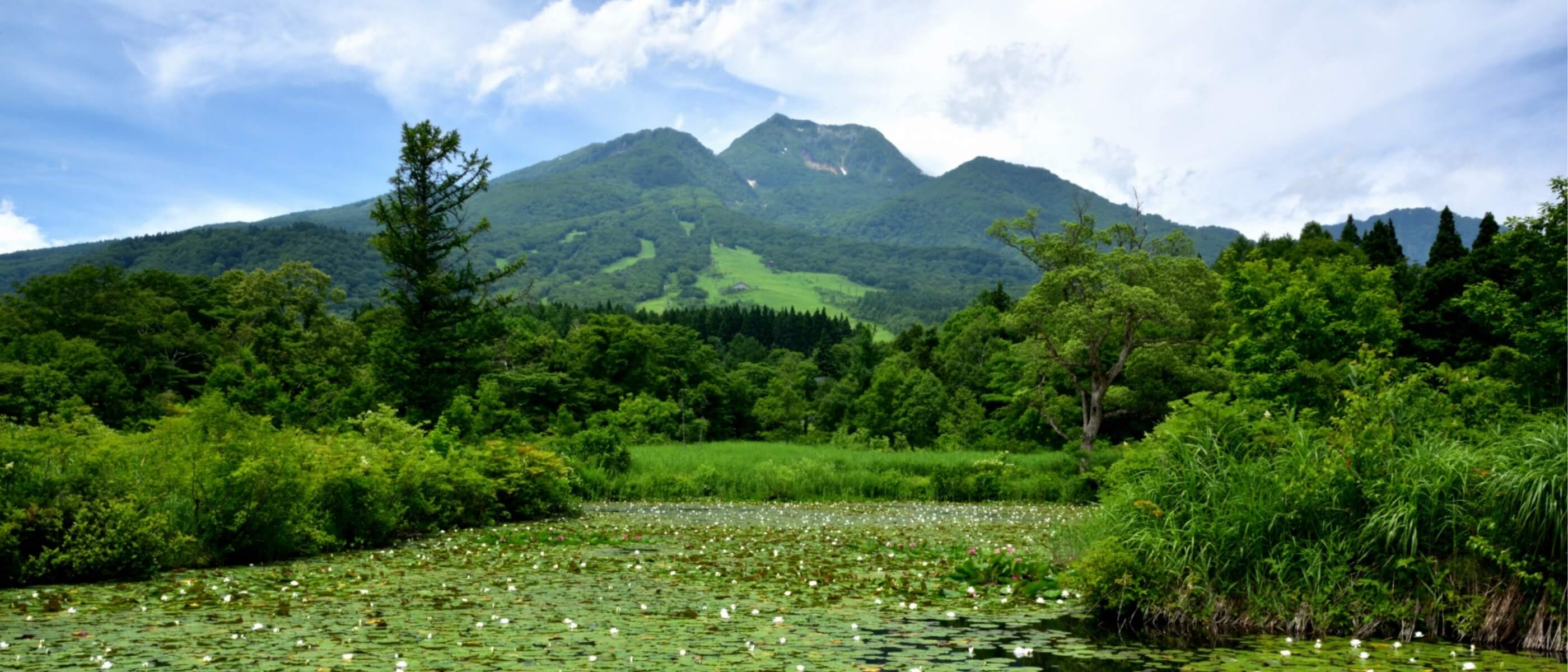 Mount Myoko reflected in still water during the green season
