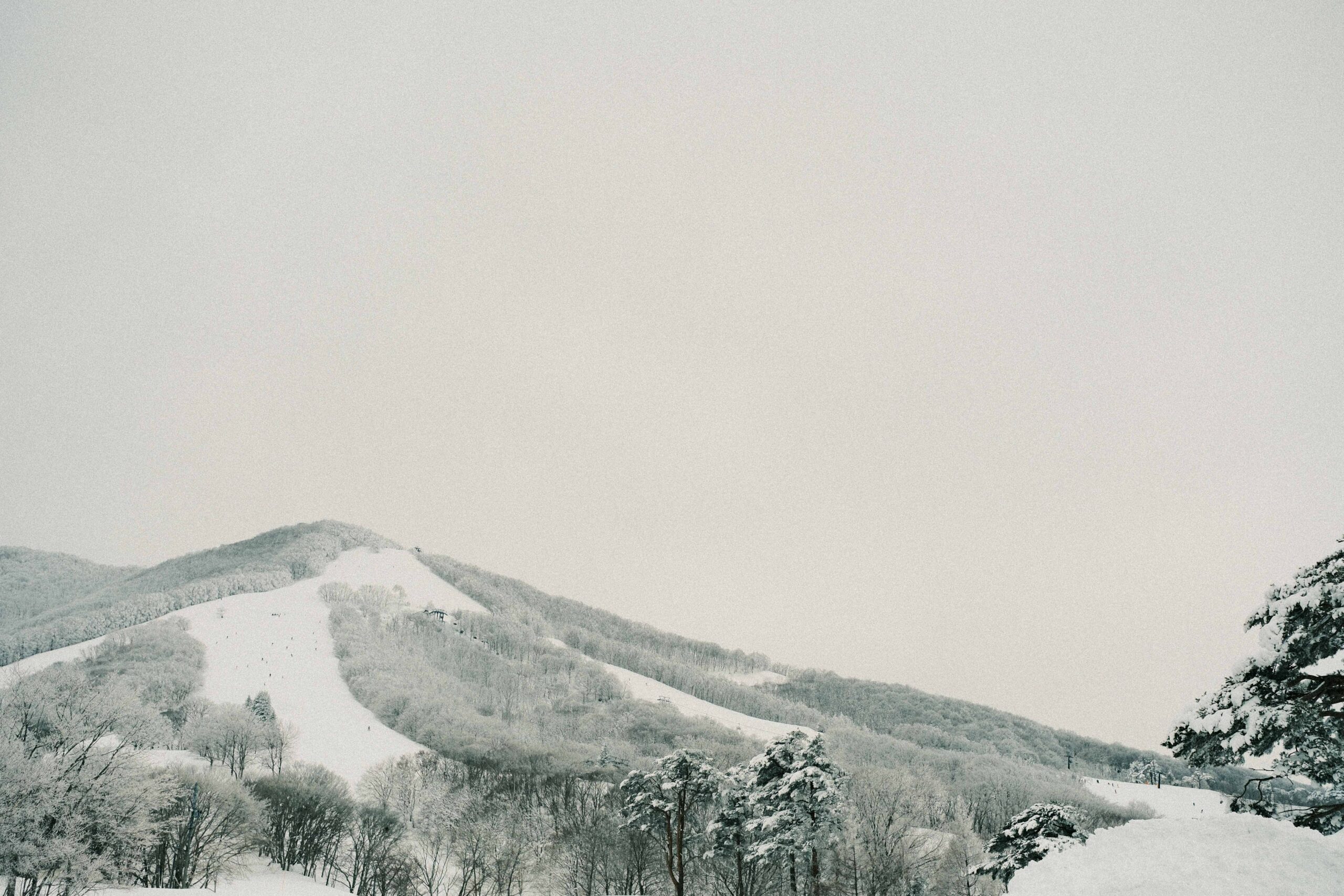 Snow-covered ski slopes at Myoko Kogen