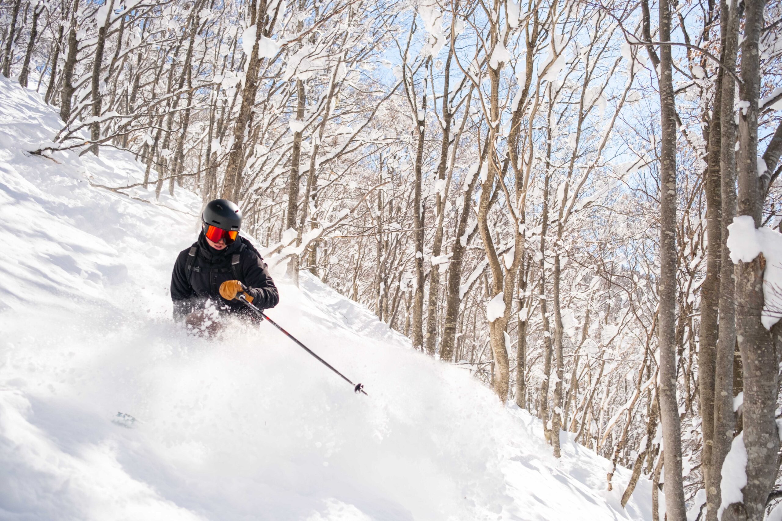 Skier cutting through deep powder in the trees at Myoko